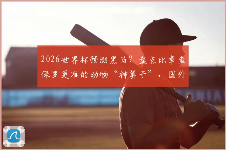 2026世界杯预测黑马？盘点比章鱼保罗更准的动物“神算子”，国外猫咪21场连胜记录揭秘